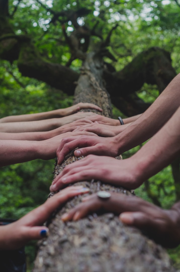 TOGETHER